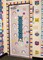 Oh Happy Day Stripes Straight Rolled Border Trim - 50 ft - Decorate Bulletin Boards, Walls, Desks, Windows, Doors, Lockers, Schools, Classrooms, Homeschool & Offices